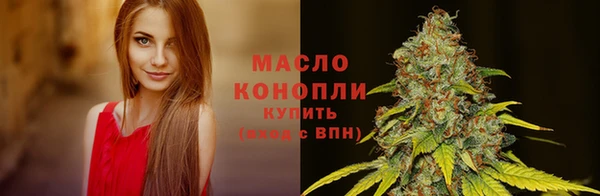 амф Гусиноозёрск