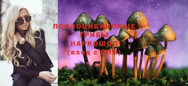хмурый Горнозаводск