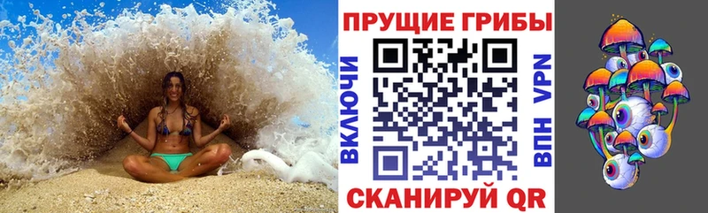 Псилоцибиновые грибы GOLDEN TEACHER  Купить где  Кимовск 